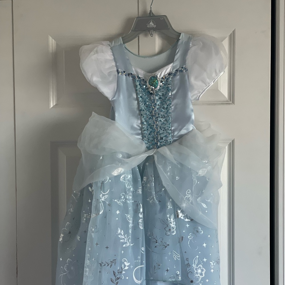 Authentic DISNEY CINDERELLA DRESS & SHOES - Picture 2 of 11